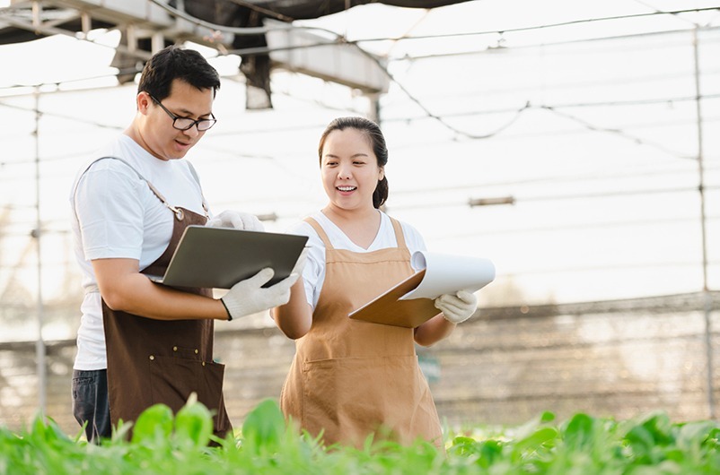 làm farm ở canada