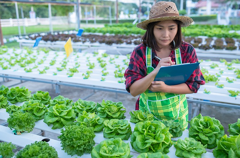 làm farm ở canada