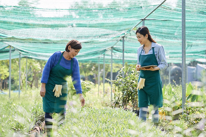 làm farm ở canada