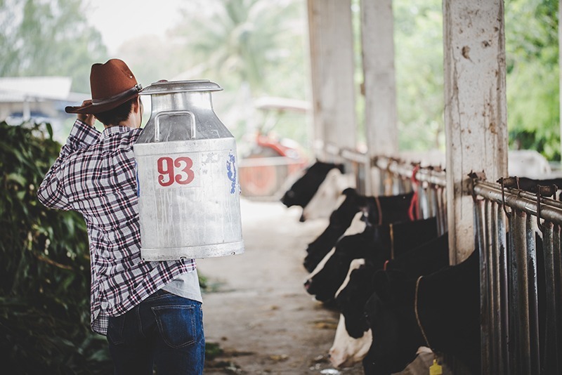 làm farm ở canada