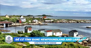 chuong trinh de cu tinh bang newfoundland and labrador