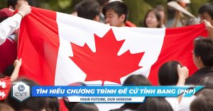 chuong trinh de cu tinh bang pnp