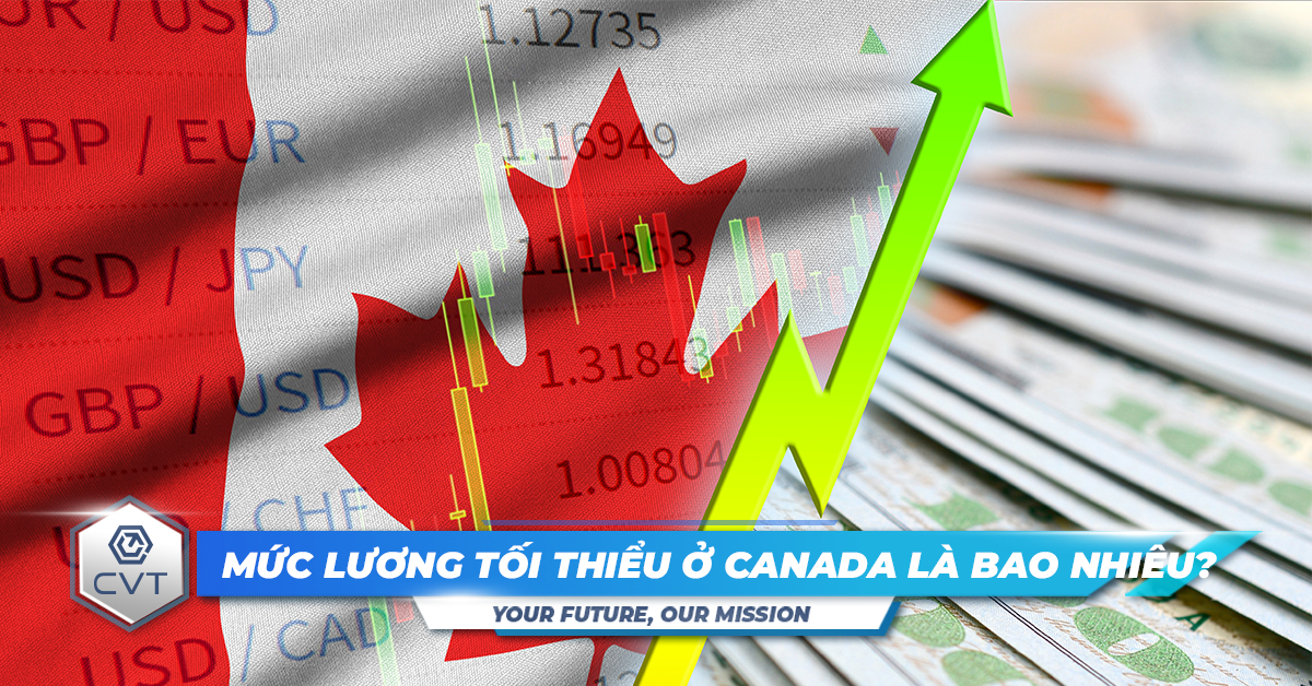 Mức lương tối thiểu ở Canada: Những điều cần biết