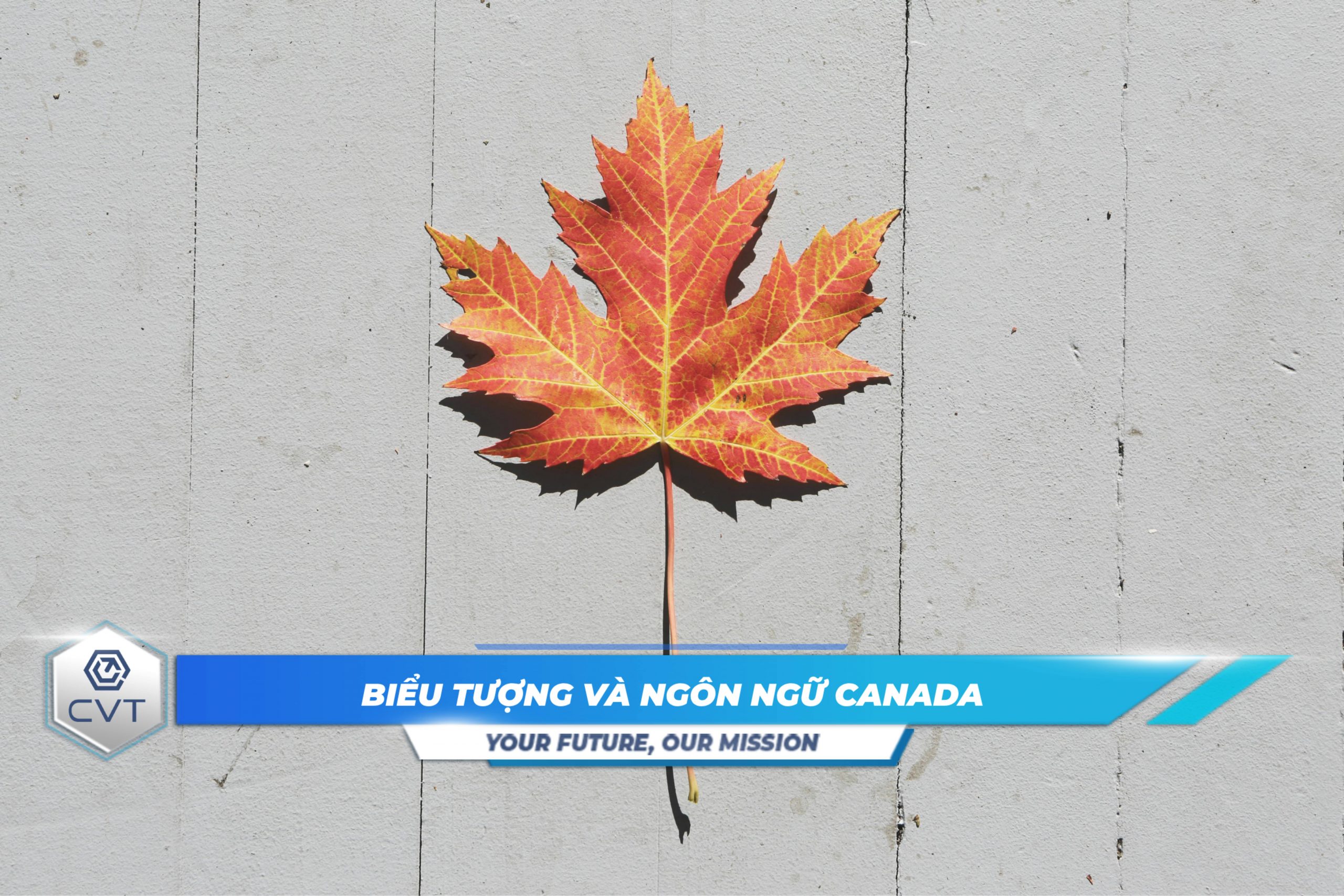 Biểu tượng và ngôn ngữ Canada