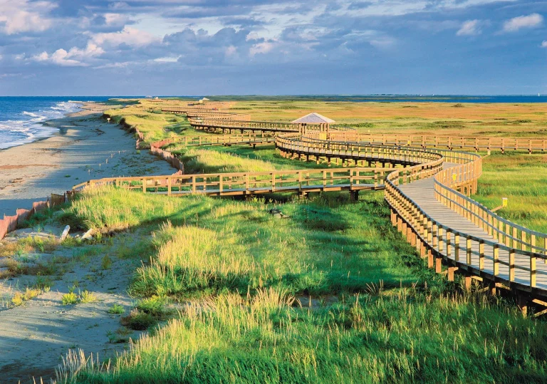 Sand dune beach coast Bouctouche New Brunswick