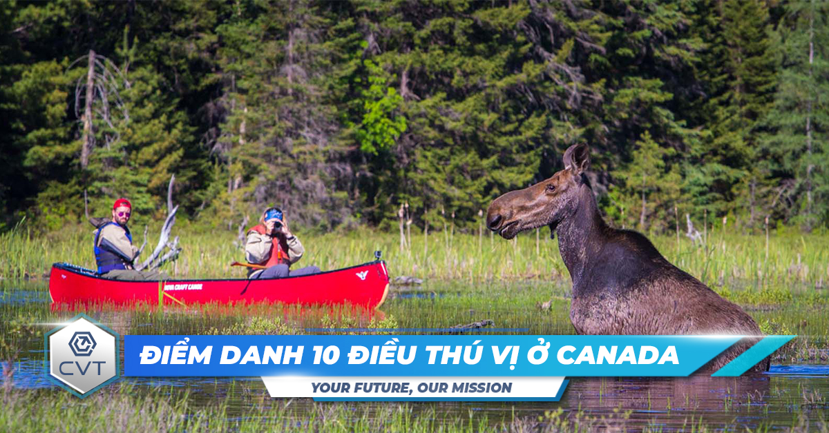 Canada có gì? Điểm danh 10 điều thú vị ở Canada