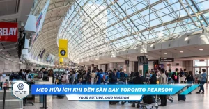 Meo huu ich khi den san bay Toronto Pearson