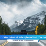 IRCC giam dang ke so luong ho so ton dong