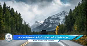 IRCC giam dang ke so luong ho so ton dong