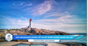 New Brunswick ngung xet duyet nhieu nganh nghe cho AIP