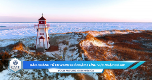 Dao Hoang Tu Edward chi nhan 3 linh vuc nhap cu AIP