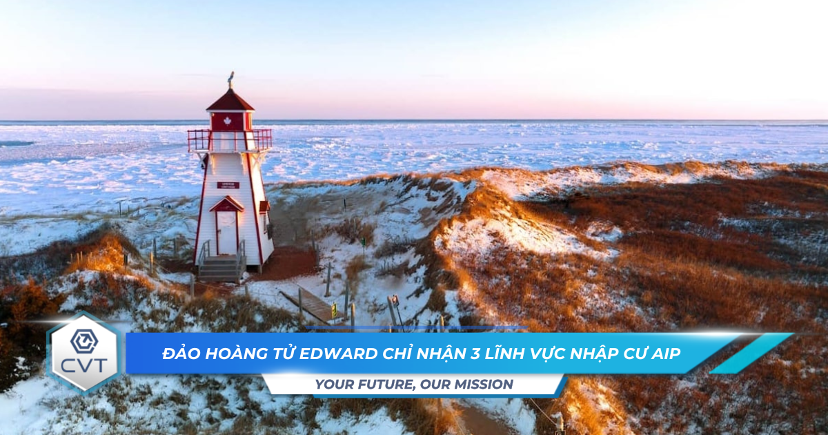 Dao Hoang Tu Edward chi nhan 3 linh vuc nhap cu AIP