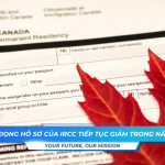 Ton dong ho so cua IRCC tiep tuc giam trong nam 2025