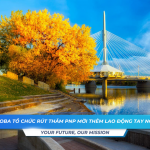 Manitoba to chuc rut tham PNP moi them lao dong tay nghe cao